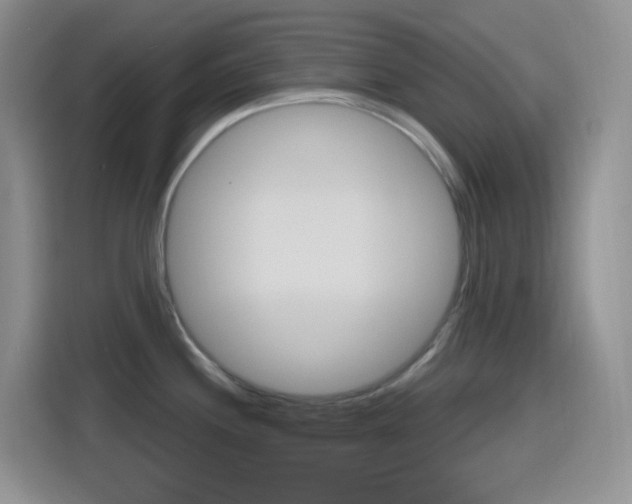 X0000116151244200911230945