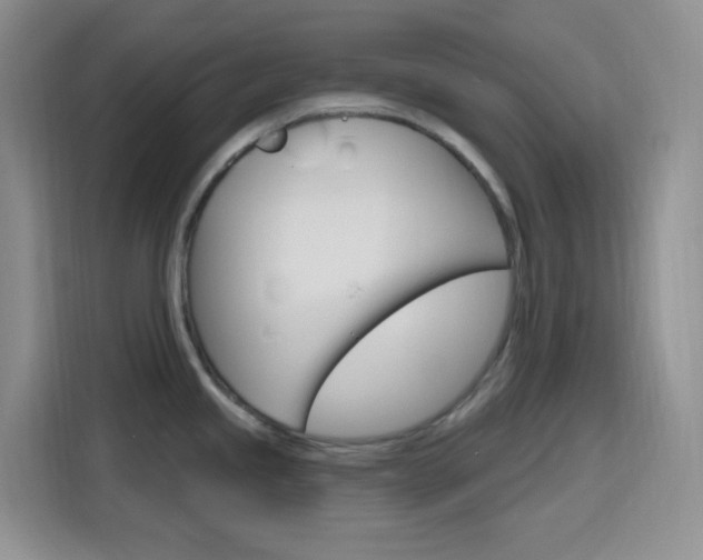 X0000116151245200911230945
