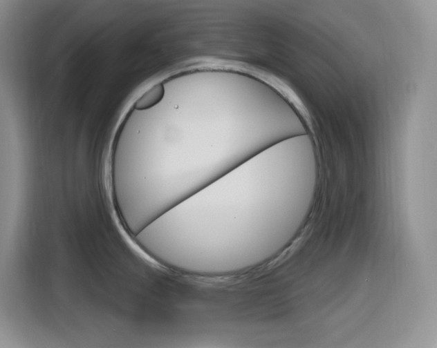 X0000116151247200911230945