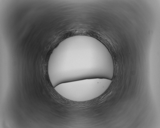 X0000116151250200911230945