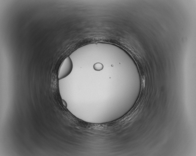 X0000116151251200911230945