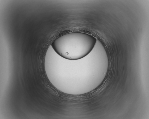 X0000116151252200911230944