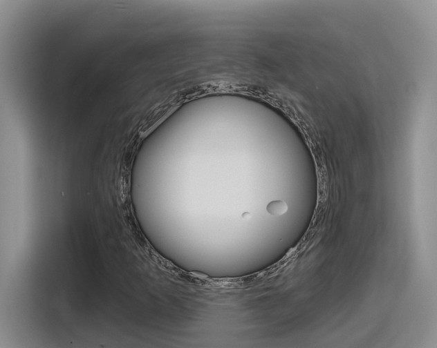 X0000116151253200911230944
