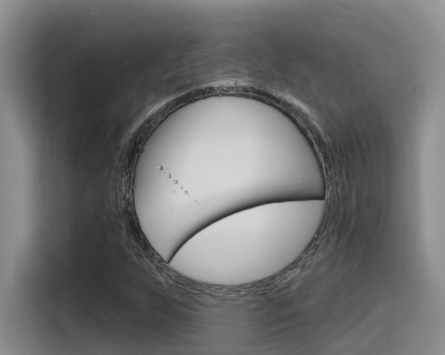 X0000116151255200911230944