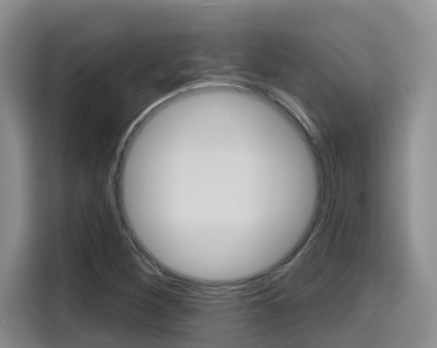 X0000116151260200911230944
