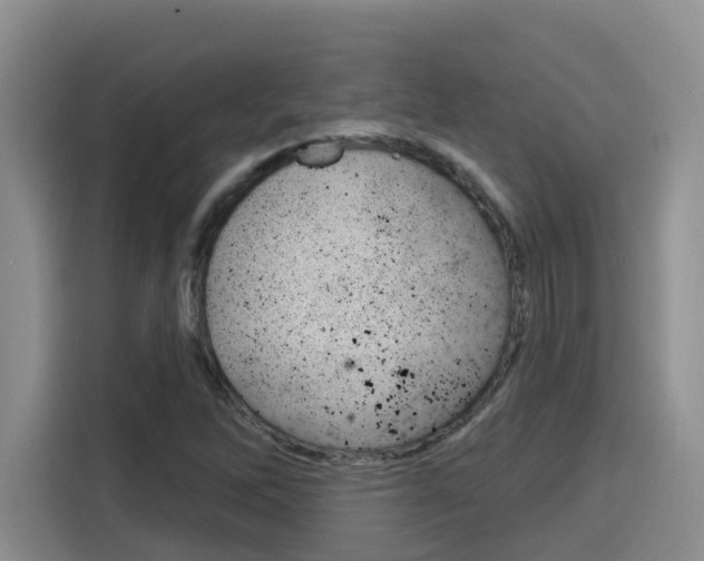 X0000116151262200911230944