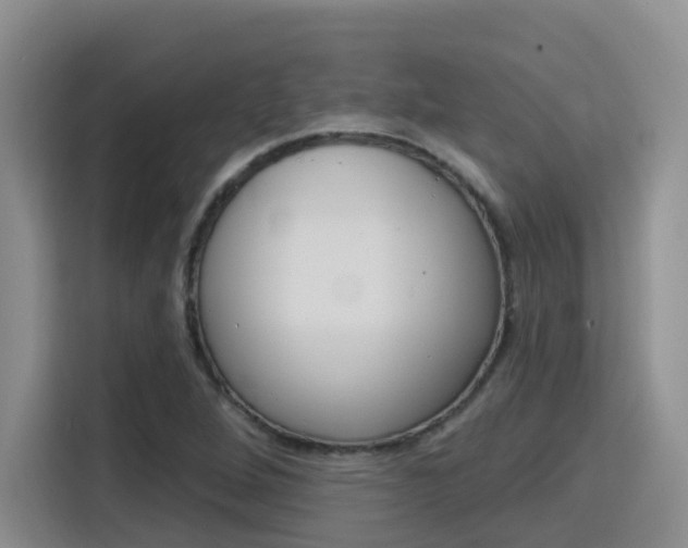 X0000116151264200911230944