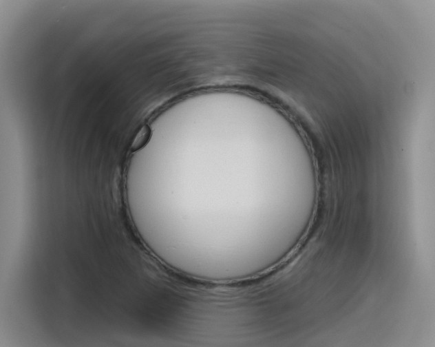 X0000116151265200911230944
