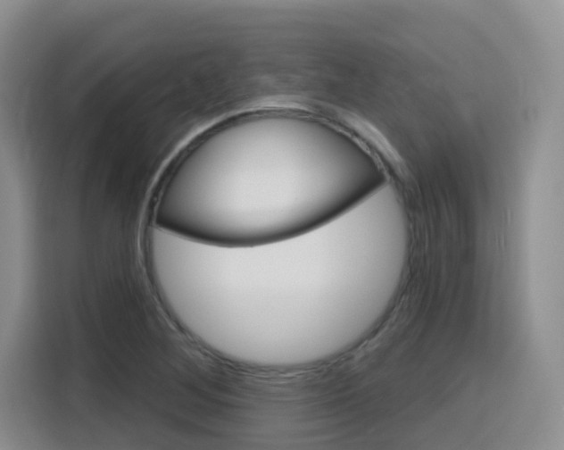 X0000116151268200911230944