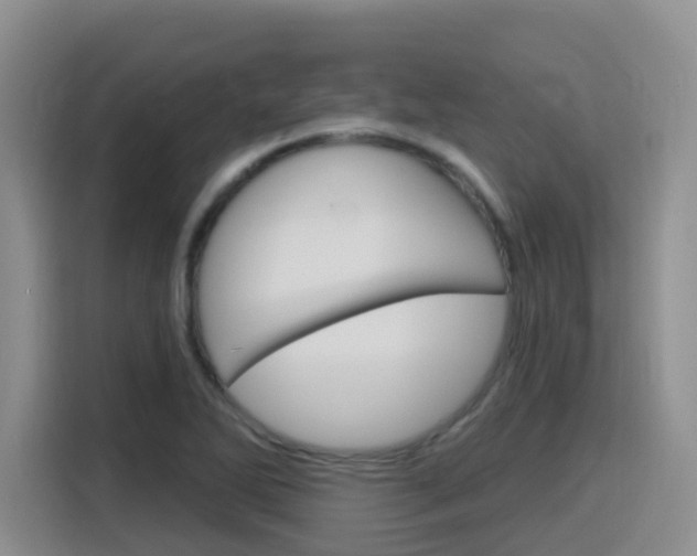 X0000116151270200911230944