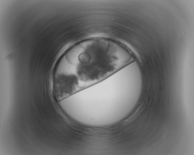 X0000116151274200911230944