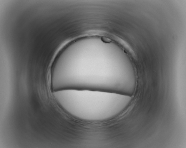 X0000116151275200911230944
