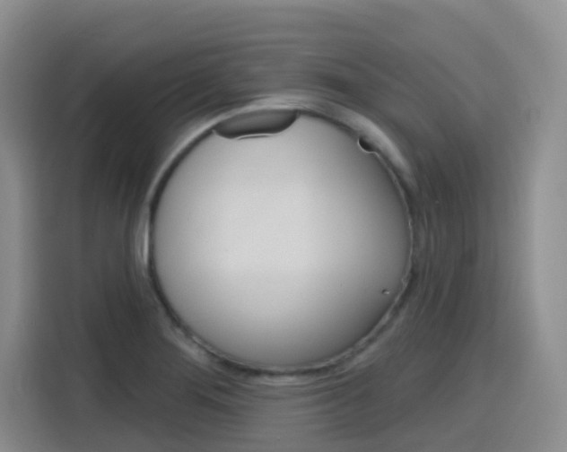 X0000116151276200911230944