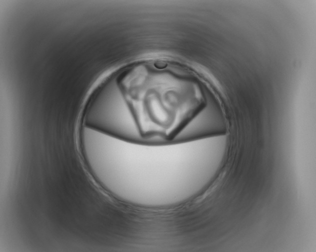 X0000116151277200911230944