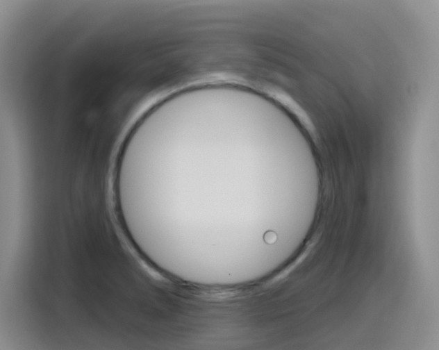 X0000116151278200911230944
