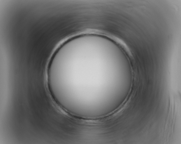X0000116151280200911230944