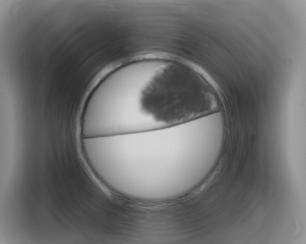 X0000116151282200911230944