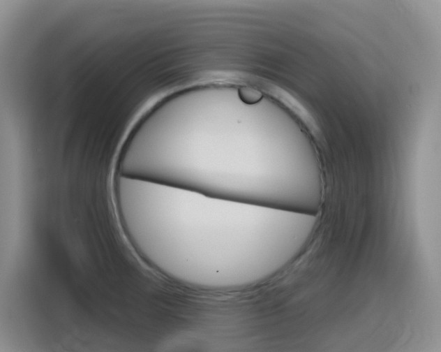 X0000116151283200911230944