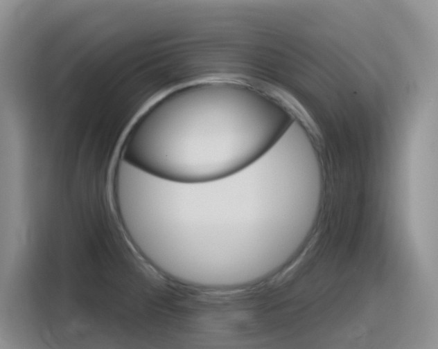 X0000116151284200911230944