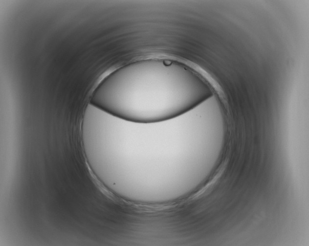 X0000116151289200911230944