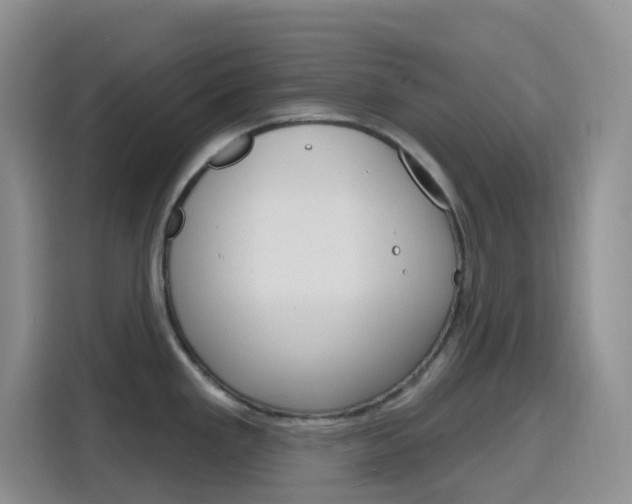 X0000116151293200911230944