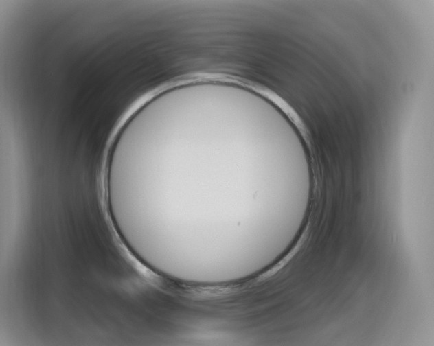 X0000116151294200911230944