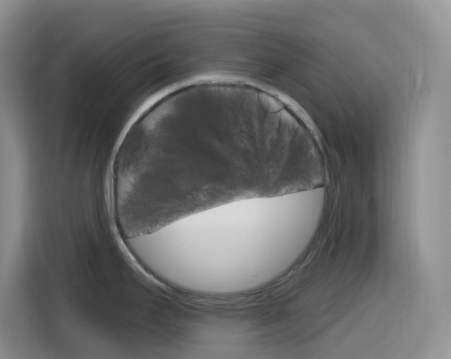 X0000116151295200911230944