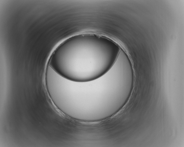 X0000116151296200911230944