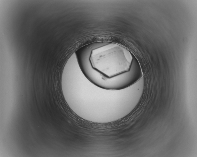 X0000116151298200911230943