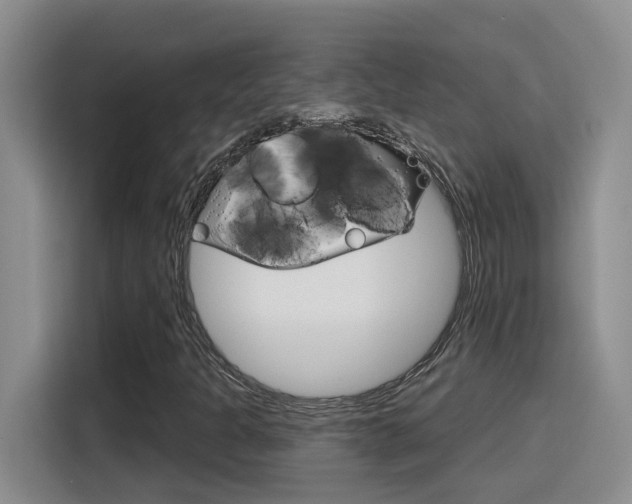 X0000116151301200911230943