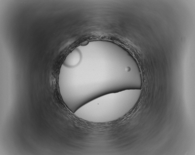 X0000116151302200911230943
