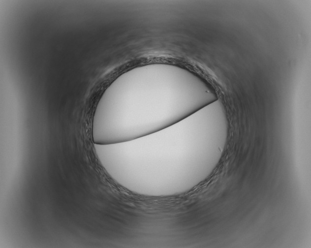X0000116151303200911230943