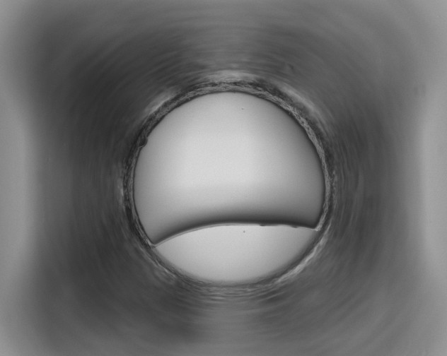 X0000116151305200911230943