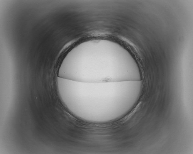 X0000116151306200911230943