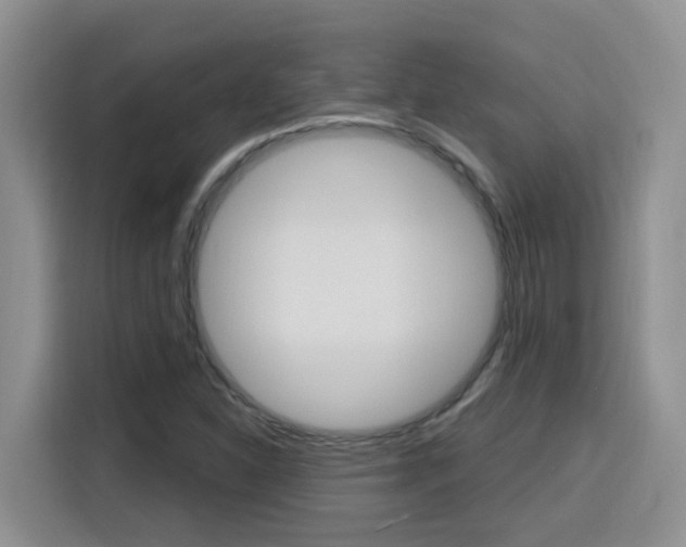 X0000116151310200911230943