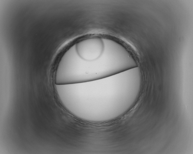 X0000116151311200911230943