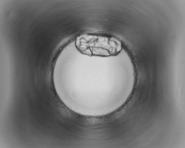 X0000116151314200911230944