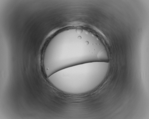 X0000116151315200911230944