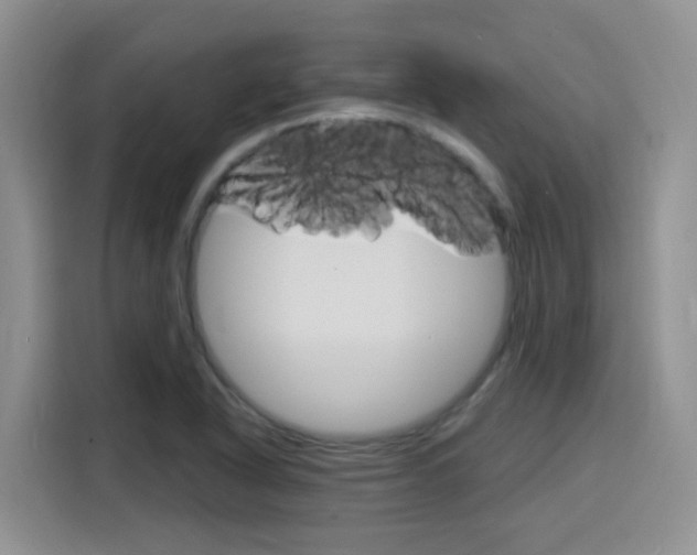 X0000116151318200911230944