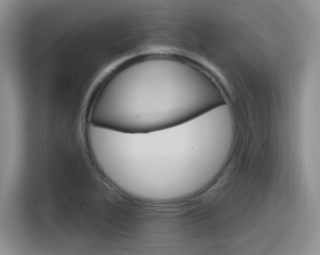 X0000116151319200911230944