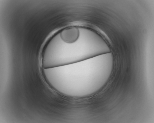 X0000116151323200911230944