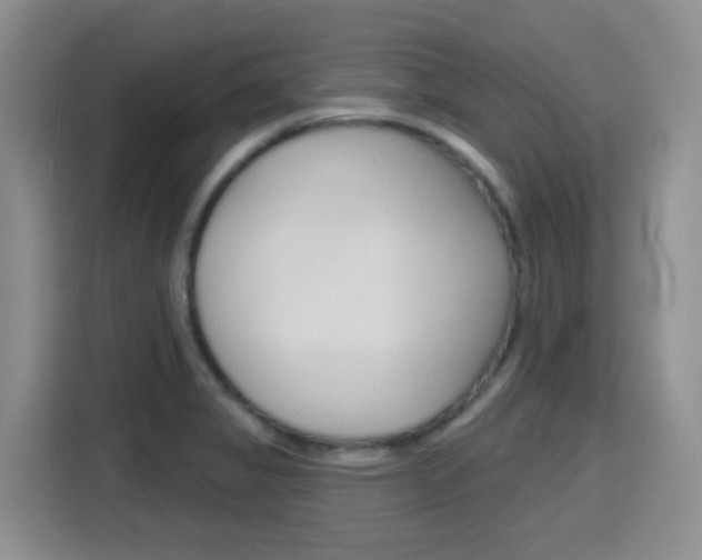 X0000116151325200911230944
