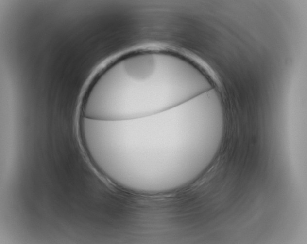 X0000116151327200911230944