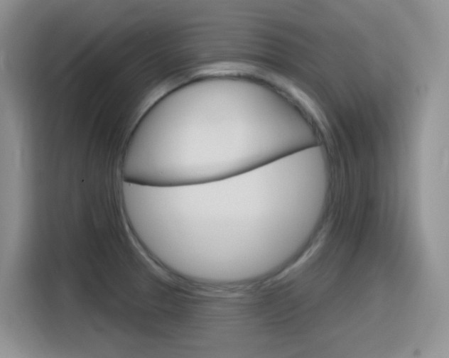X0000116151329200911230944