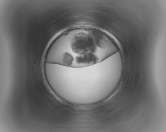 X0000116151333200911230944