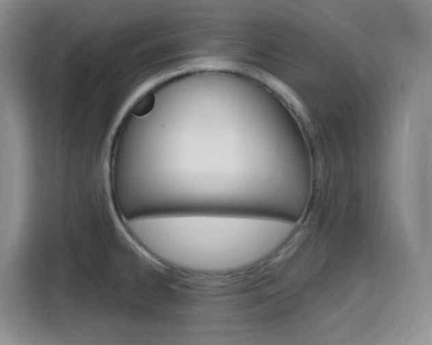 X0000116151334200911230944