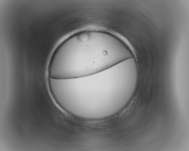 X0000116151335200911230944