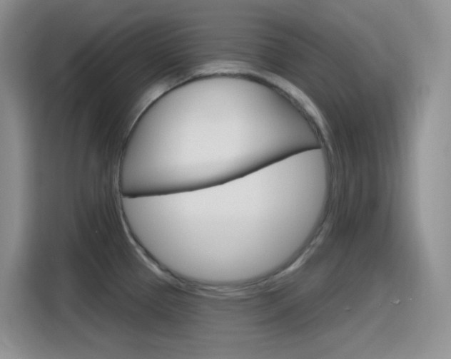 X0000116151337200911230944