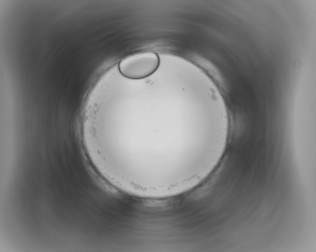 X0000116151338200911230944