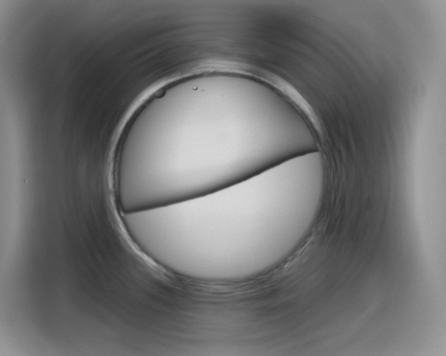 X0000116151339200911230944